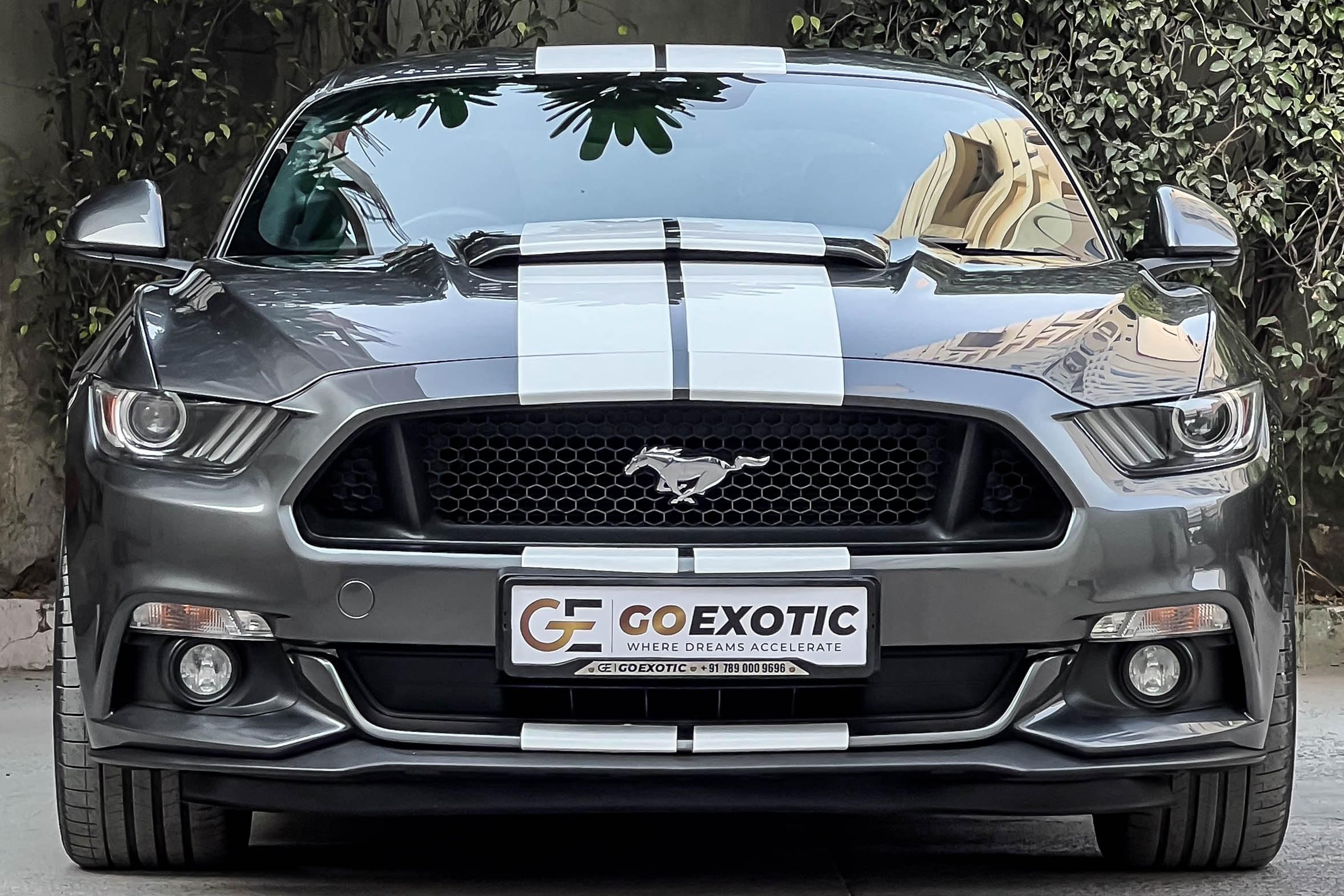 2017 FORD MUSTANG  GT FASTBACK